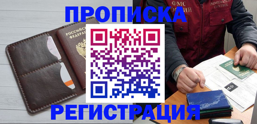 прописка 2025 в Елизово
